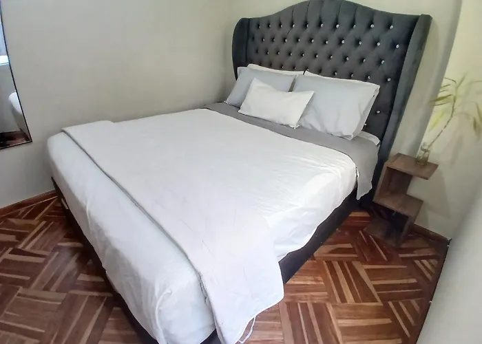 Centric, Private, Petfriendly Apartments In Miraflores And Home In Lince